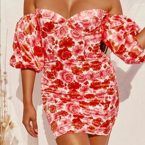 Brand NWT oh Polly in full bloom dress size 2